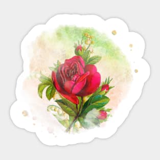 Rose Watercolor Floral Sticker